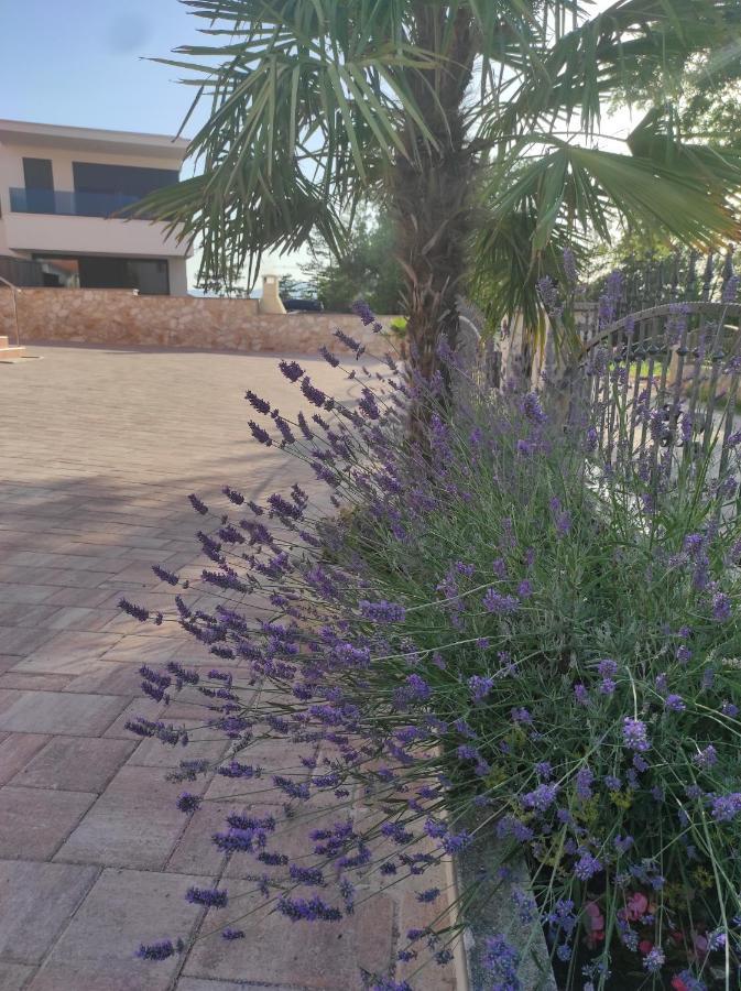 Apartments Mihael مالينسكا المظهر الخارجي الصورة
